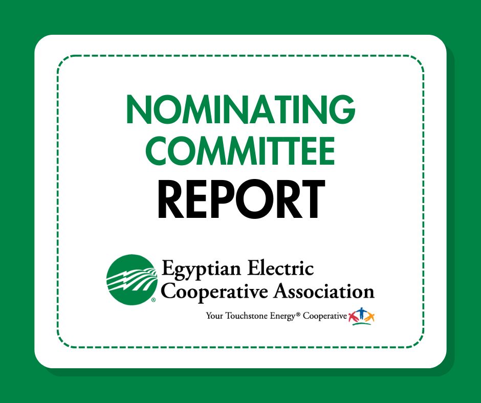 Nominating Committee Report